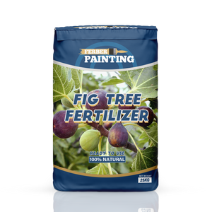 Fig Tree Fertilizer